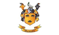 logo Bemolt